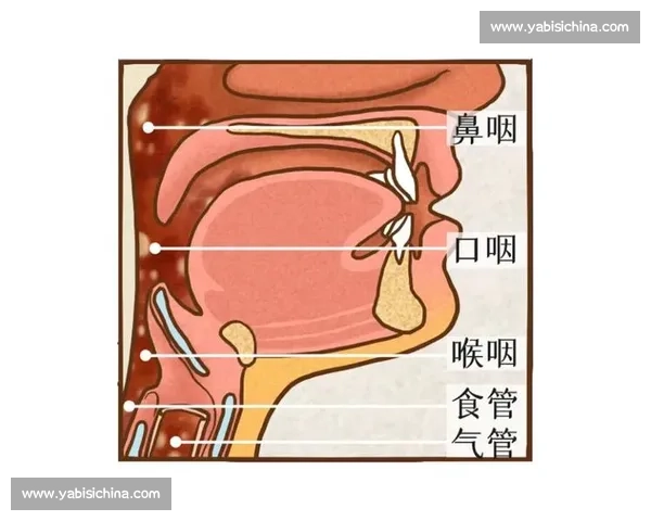 唱歌比赛前如何科学有效地开嗓 提高嗓音状态的几个实用技巧 唱歌比赛前如何科学有效地开嗓 提高嗓音状态的几个实用技巧